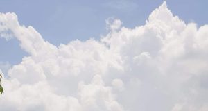 “Kejadian Pencemaran di Situ Rawa Arum Menghebohkan, Ribuan Ikan Mati dan Perlu Dijaga dengan Ketat!”