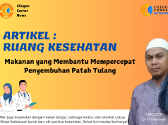 Makanan yang Membantu Mempercepat Penyembuhan Patah Tulang