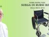 Surga di Kursi Roda, Karya : Ahdi Z. Amri