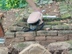 Cilegon’s Hidden Treasures: Documenting Historical Sites