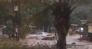 Kita dan Warga Air yang Kembali, Karya ; H. Ahdi Z. Amri