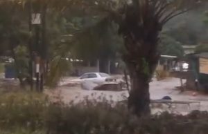 Kita dan Warga Air yang Kembali, Karya ; H. Ahdi Z. Amri