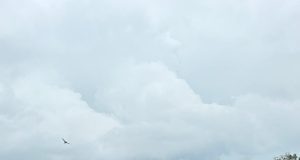 KAISAR Praises Cilegon City Government’s Swift Flood Response